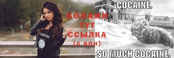 кокаин премиум Няндома
