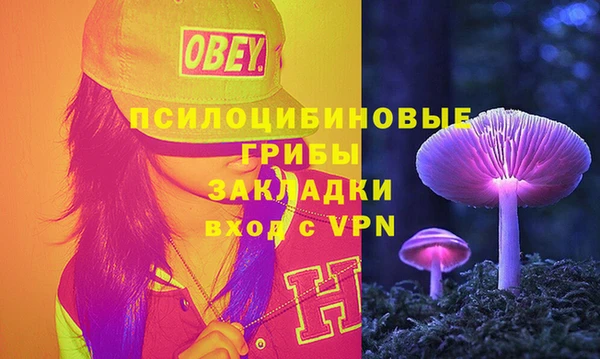 a pvp Новодвинск